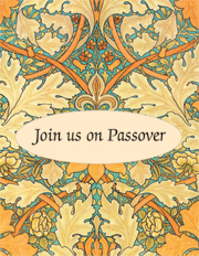 Passover Seder Invitation